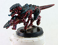 One of my wife's Termagants